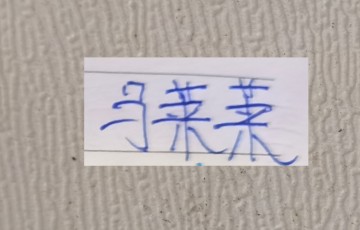 开云体育官网-申花迎战马莱莱首战前 又迎来喜讯 ！这次是轮到吴曦